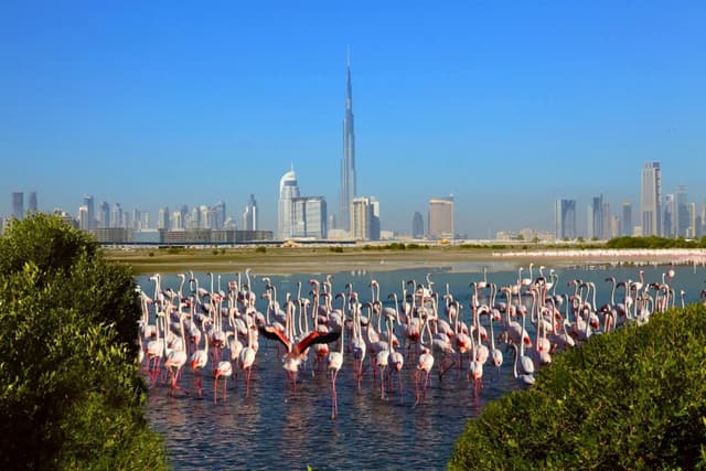 Ras Al Khor